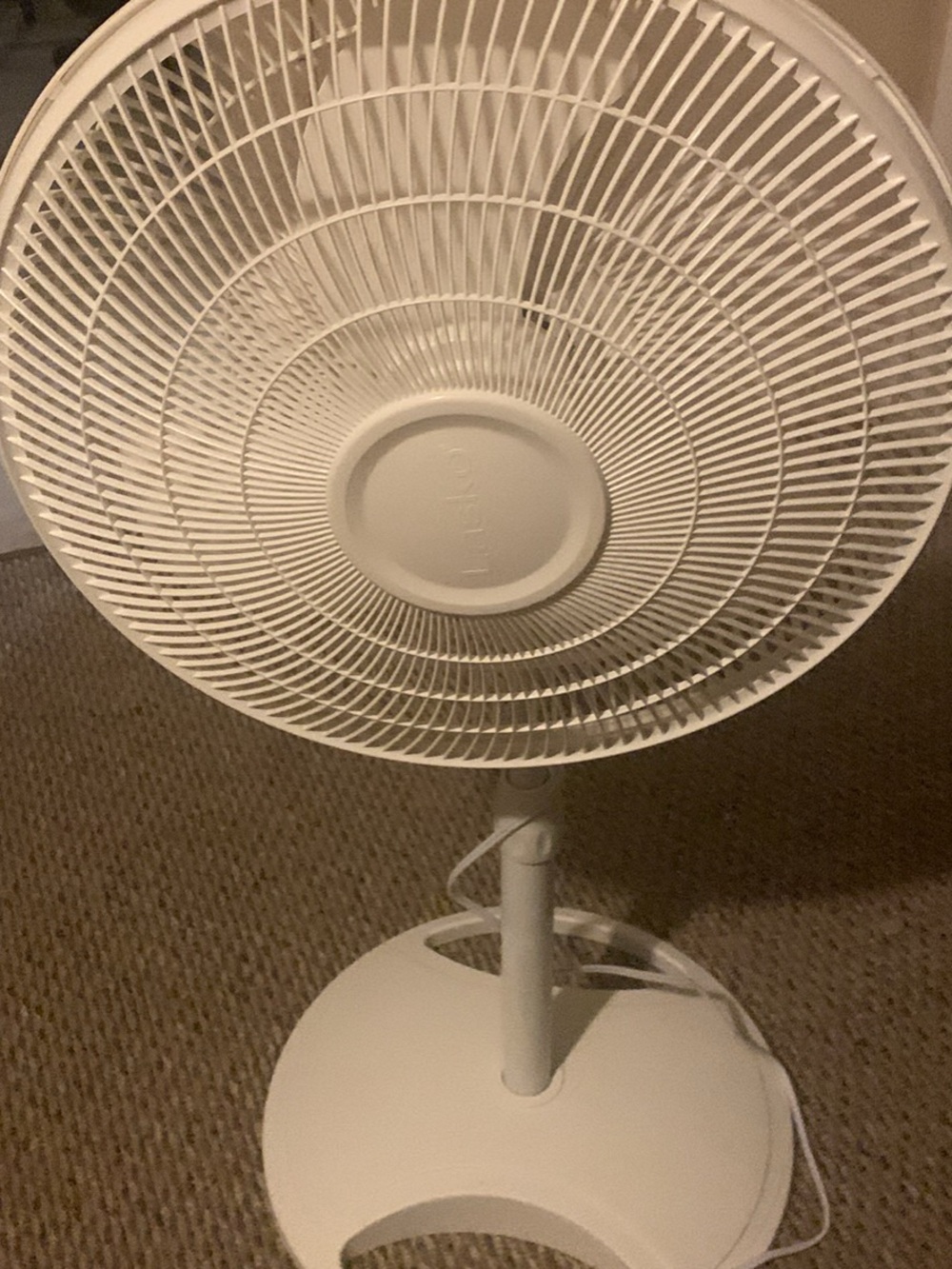 White Oscillating Pedestal Fan - Brand Unspecified